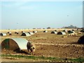 Pig farm near East Dereham in NR19 2QR