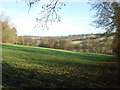 Looking across Netherton Valley towards Faccombe in SP11 0DZ