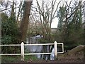 River Wey and weir at Passfield in GU30 7RU