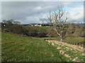 Farmland near Old Jeddart in TD8 6PJ