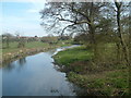 River Cole heading East to Coleshill in B46 1BG