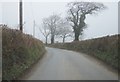 Misty morning - lane to East Ashley in EX19 8DJ