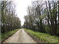 Avenue and roadway to Park Farm in IP21 5BS