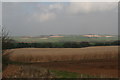 Escarpment of the Lincolnshire Wolds viewed across Salmonby Carr and a miscanthus field in LN9 6QT