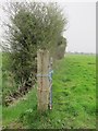 Field edge boundary, gateway and drainage ditch on Nailsea Moor in BS21 6TF