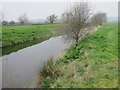 The Clevedon Boundary Rhyne to the East of Smeathyard Farm in BS21 6TF