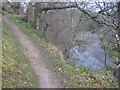 Path by Euchan Water in DG4 6LQ