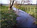 Winterbourne Stream near Chieveley in RG20 8UG