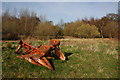 Plough on rough ground opposite Brighton House in HR2 0JU