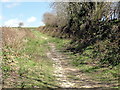 Footpath and Farm Track near St Winnow in PL22 0LF