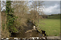 Looking up the river Bray from Brayley Bridge in EX36 3EL