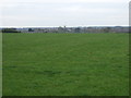 Farmland west of the A159 in Scotter and Blyton Ward