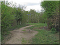 Footpath signpost in Stanford Warren Nature Reserve, Mucking in Stanford-le-Hope West Ward