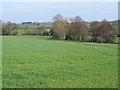 Fields near Stonywell in WS15 4QS