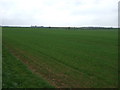 Crop field off Redbourne Mere in DN21 4LD