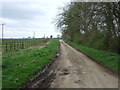 Track heading south, Stoneholme in DN21 4LG