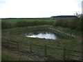 Pond beside Ermine Street Roman Road (A15) in DN20 9NH