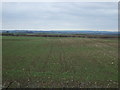 Crop field east of Scawby Road in DN20 0AG