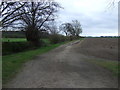 Farm track near Dairy Farm in DN20 0BX
