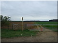 Farm track and footpath in DN20 0BY