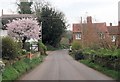 Blossom and cottages in Longstock in SO20 6DP