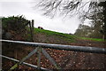 Mid Devon : Gate & Field in EX16 7NN