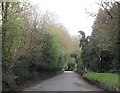 Stanbridge Lane through Rookwood Copse in SO51 0HE