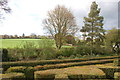 View from the maze, Bridge End Gardens in CB10 2DX