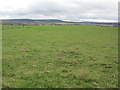 Farmland near Little Kildrummie in IV12 5SH