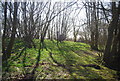 Woodland by the River Sherway in TN27 9DA