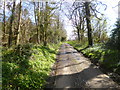 Morden, country lane in BH20 7ER