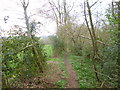 Lytchett Matravers, footpath in BH16 6BS