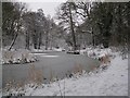 Duckpond February 2007 in B98 7ST