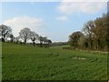 Farmland and footpaths east of Wildhern, Hants in SP11 6HZ