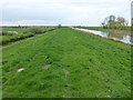 The bank of The Ouse Washes near Wardy Hill in CB6 2DD