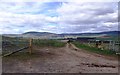 Access to fields south of Ardieraar in AB31 4SR