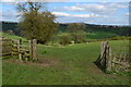 Field gate on footpath near Ossoms Hill in ST13 7PE