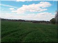 Field overlooking Barlborough Hall in S43 4HJ