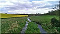 Watercourse, Whittonditch, near Aldbourne in SN8 2FU