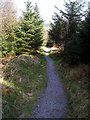 Cycle Trail in Dalbeattie Forest in DG5 4QS