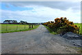Road into Low Dinduff in DG9 0JJ