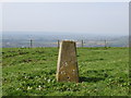 Ordnance Survey Triangulation Pillar S5695 in BA4 6NP