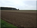 Field near Audleby Top Farm in LN7 6RS