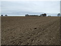 Farmland towards Rothwell Stackgarth in LN7 6AU