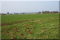 Flat grazing land with molehills and a ditch in DE6 5LP
