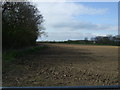 Farmland near Brigsley in DN37 0LF