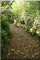 Throwleigh: track above a small ford in EX20 2QE