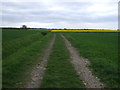 Farm track (footpath) near Peaks Top Farm in DN36 4RH