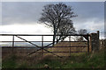 Gate and trees, Hill of Baldowrie in PH13 9JU