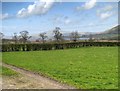 View Towards Bassenthwaite from Chapel Beck in CA12 5SG